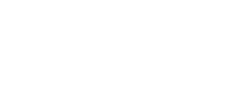 Plaszom